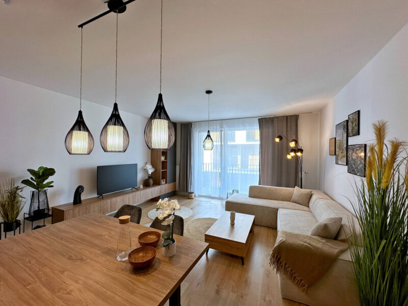 2026-02_dubicny_potok1