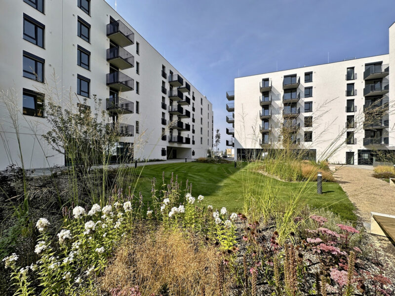 2026-02_dubicny_potok2