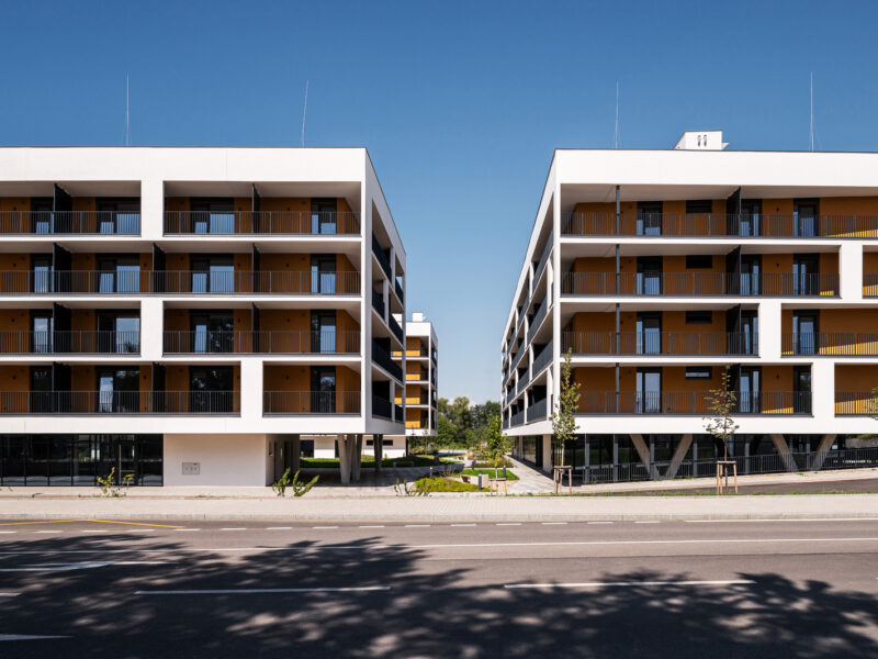 2026-02_dubicny_potok6