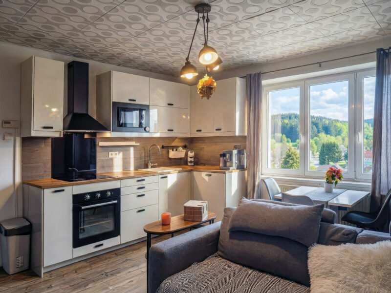 benesov-nad-cernou_kuchyne-obyvak_4